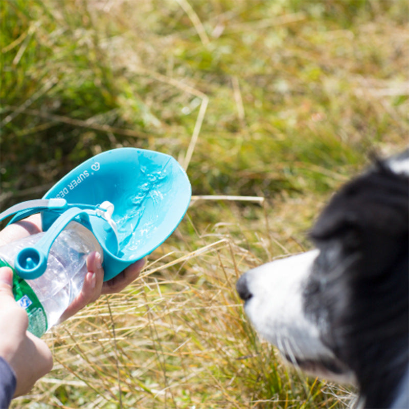 Pet dog accompanying cups out supplies outdoor feeding water drinker portable leaves kettle leaves water bottle