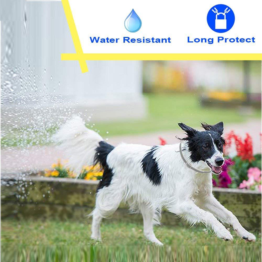 Natural Essential Oil Repellent Flea Ticks Lice Collar Prevent Mosquitoes Larvae Belt Neck Strap For Cat Kitty Small Pet LD