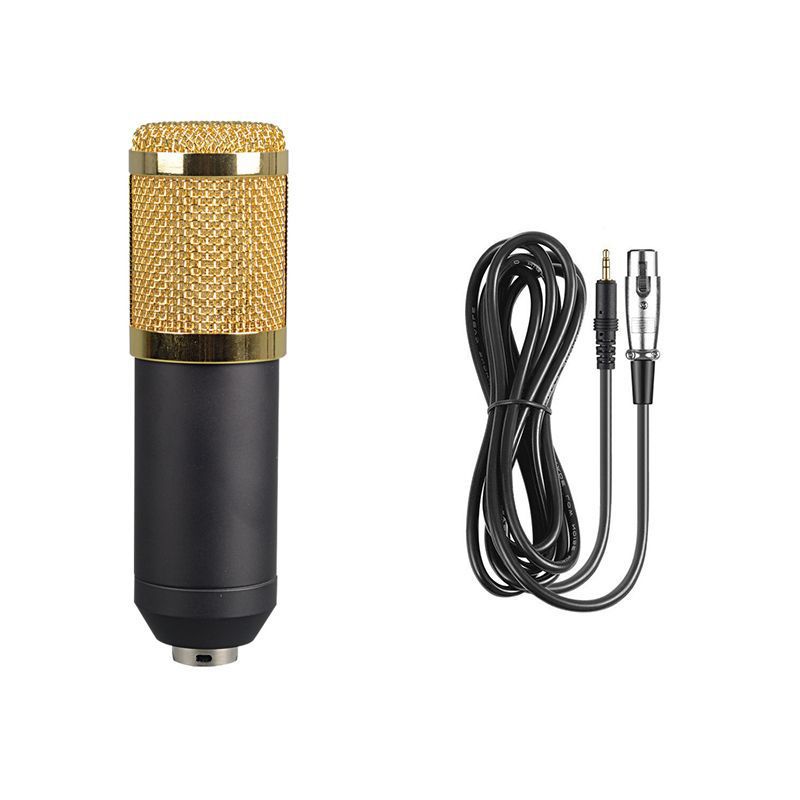 BM800 with reverberation condenser microphone free independent sound card free 48V phantom power set