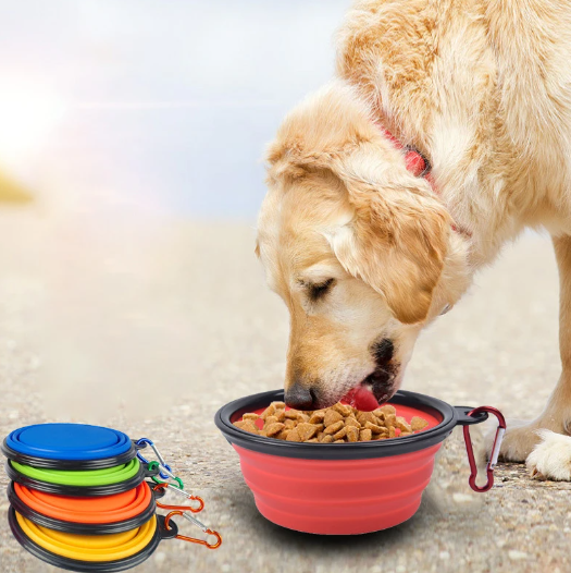 Foldable Pet Bowl